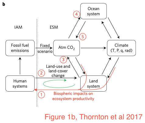 A synchronous two way coupling system linking an IAM to a physical climate model